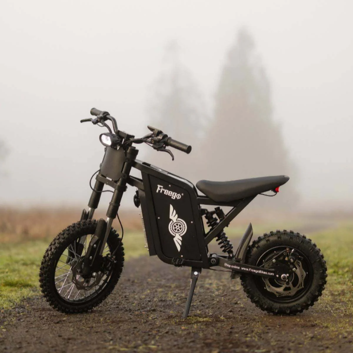 Freego X0 Electric Mini Bike for Teens and Adults - Image 13